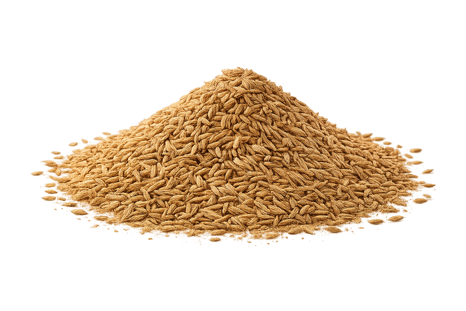 Seeds