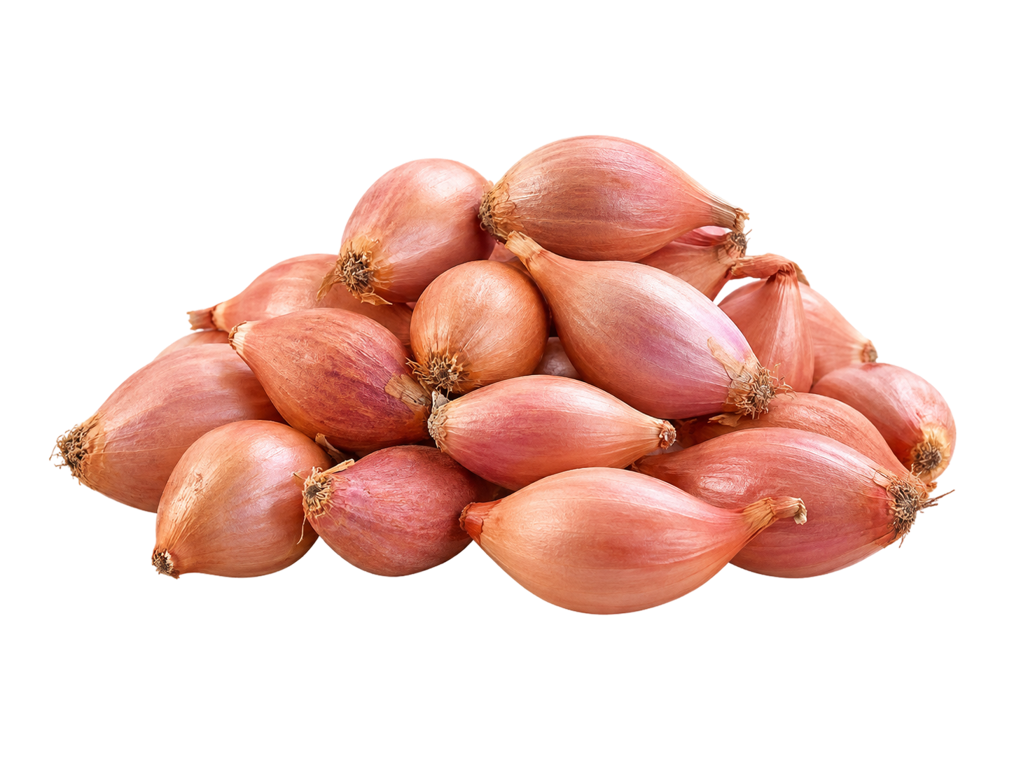 Small Shallot
